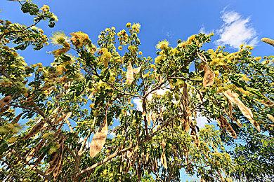 Steam特别好评的3D修仙游戏《轮回修仙路》今日EA转正！